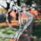 Concertina Simples 10m X 30cm