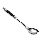 Concha Terrina Hércules