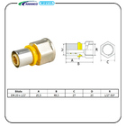 Conector De Transição Fixo Gás Fêmea Dn20x1/2'' Amanco