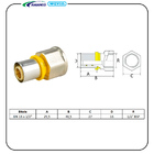 Conector Fixo Fêmea 16x1/2 Pex Gás Amanco