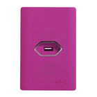 CONJ 1 TOMADA USB 2A C/PL 4X2DIC