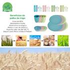 Conj. Louças Fibra De Trigo Premium 32pçs Bpa Free Colorido