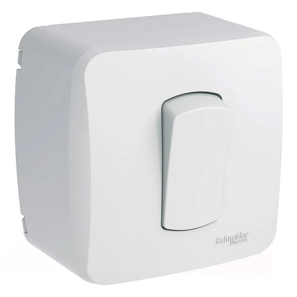 CONJ SOBREPOR 1INT PARALELO 10A BR MILUZ