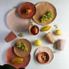 Conjunto 24 Pratos Rasos Orgânicos Com Relevo Lyor Plástico H