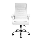 Conjunto 2 Cadeiras Escritório Presidente Executiva Alta Big