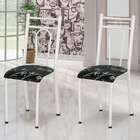 Conjunto 2 Cadeiras Hanumam Branco E Preto Flor