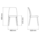 Conjunto 2 Cadeiras Plástica Vanda Com Pernas De Alumínio Ano