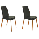 Conjunto 2 Cadeiras Plástica Vanda Com Pernas De Alumínio Lin