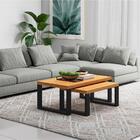 Conjunto 2 Mesas De Centro Estilo Industrial F40 Freijó/preto