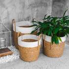 Conjunto 3 Cestos Decorativos De Fibra Vegetal E Algodão Mhv0