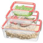 Conjunto 3 Potes Plásticos Hermético Freshy 330ml 1,24l 2,5l