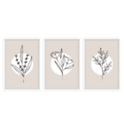 Conjunto 3 Quadros Com Moldura Flor Minimalista