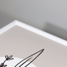 Conjunto 3 Quadros Com Moldura Flor Minimalista