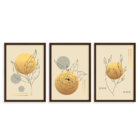 Conjunto 3 Quadros Com Moldura Floral Gold