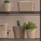 Conjunto 3 Vasos Auto Irrigáveis Horta Vasos Para Plantas Tem