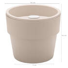 Conjunto 3 Vasos Auto Irrigáveis Horta Vasos Para Plantas Tem