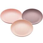 Conjunto 48 Pratos De Bambu E Polipropileno 27cm Lyor Bandeja