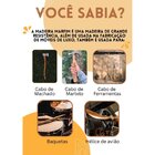 Conjunto 4 Cadeiras Madeira Maciça Concha Anatômica Confortáv