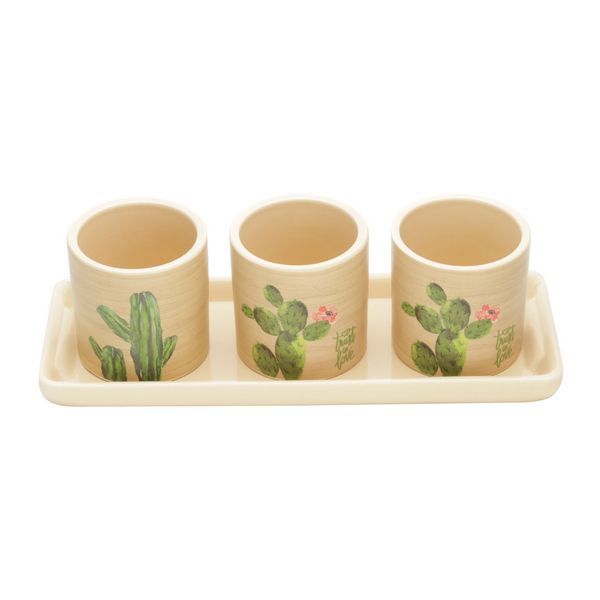 Conjunto 4 Peças Cachepot C/bandeja Desert Cactus Bege Urban