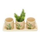 Conjunto 4 Peças Cachepot C/bandeja Desert Cactus Bege Urban