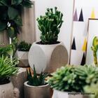 Conjunto 4 Vasos De Concreto Artesanal Dado 10cm Cinza