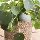 Conjunto 5 Cesto Fibras Naturais Stef Alto - Ts Brasil