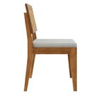 Conjunto 6 Cadeiras Rainha Em Madeira Maciça Mel Natural/linh