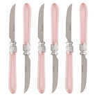 Conjunto 6 Facas De Churrasco De Aço Inox Com Cabo Destiny Ro