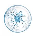 Conjunto 6 Taças Acrilico Coral Azul 450 Ml - Wolff