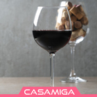 Conjunto 6 Taças De Vidro Eden 255ml Class Home