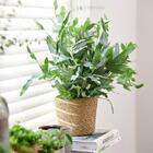 Conjunto 6 Vaso Cachepot Igmar D15 A12 - Ts Brasil