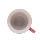 Conjunto 6 Xícaras Chá Porcelana C/pires 200ml Fancy Rose Wol