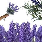 Conjunto 7 Flores De Lavanda Lilás Permanente Para Decoração