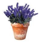 Conjunto 7 Flores De Lavanda Lilás Permanente Para Decoração