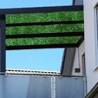 Conjunto 8 Placas De Samambaias Permanentes 60x40cm Para Jard