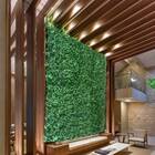 Conjunto 8 Placas De Samambaias Permanentes 60x40cm Para Jard