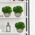 Conjunto 9 Picks Artificiais Realistas (54 Hastes Total) - Id