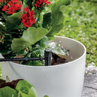 Conjunto  Mini De Irrigação Para Até 12 Vasos G.f.