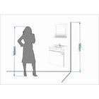 Conjunto Armário Banheiro Iris Com Espelheira Mgm Café/branco