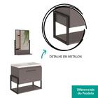 Conjunto Armário De Banheiro E Espelheira 60 Cm Metalon Ipane