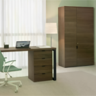 Conjunto Armário Para Escritório 2 Portas Alto Mais Mesa Para