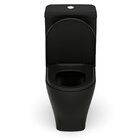 Conjunto Bacia Com Caixa Acoplada Slim Celite Matte Black