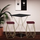 Conjunto Bistrô Yanca Preto E 2 Banquetas Kathy Suede Bordô B