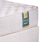 Conjunto Box Casal Espuma D33 Minaspuma Celebrate Ii 138x188x