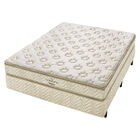 Conjunto Box Casal Espuma D33 Minaspuma Celebrate Plus Double
