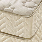 Conjunto Box Casal Espuma D33 Minaspuma Celebrate Plus One Fa