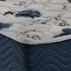 Conjunto Box Iso 6.0 - D28 Solteiro 78 Cm (larg) - 52788 Sun