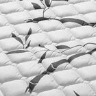 Conjunto Box Queen Molas Minaspuma Minasflex Ensacado Ii 158x