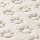 Conjunto Box Viuva Espuma D33 Minaspuma Celebrate Plus One Fa