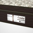 Conjunto Cama Box Evolution Plw Euro 54x188x138cm Prodormir B